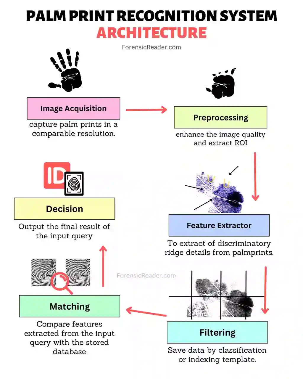 How Palm Print Recognition System Work and architecture