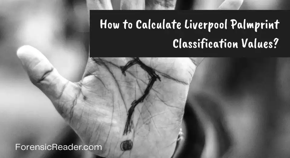 How to Calculate Liverpool Palmprint Classification Values