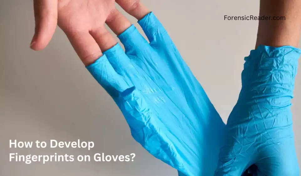 How to Develop Fingerprints on Gloves