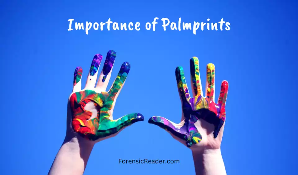 Importance of Palm Prints and Historical Importance