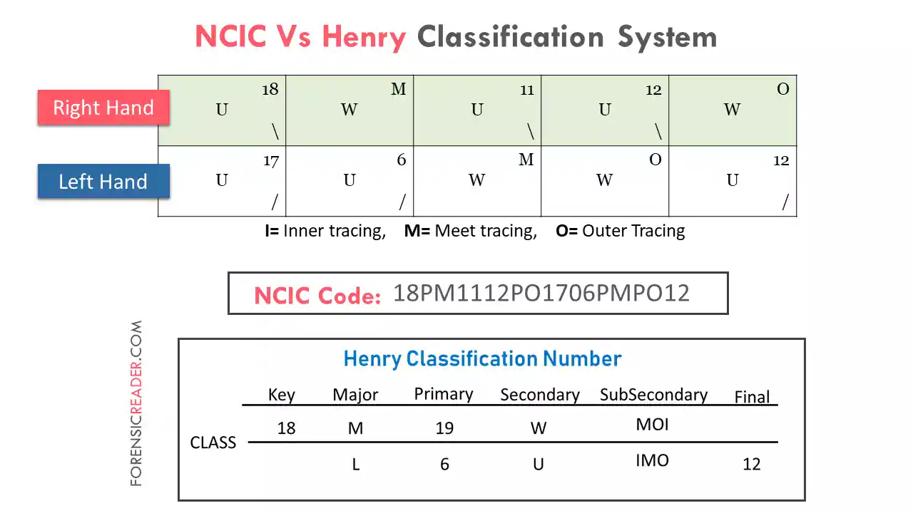 NCIC Vs Henry Fingerprint Classification