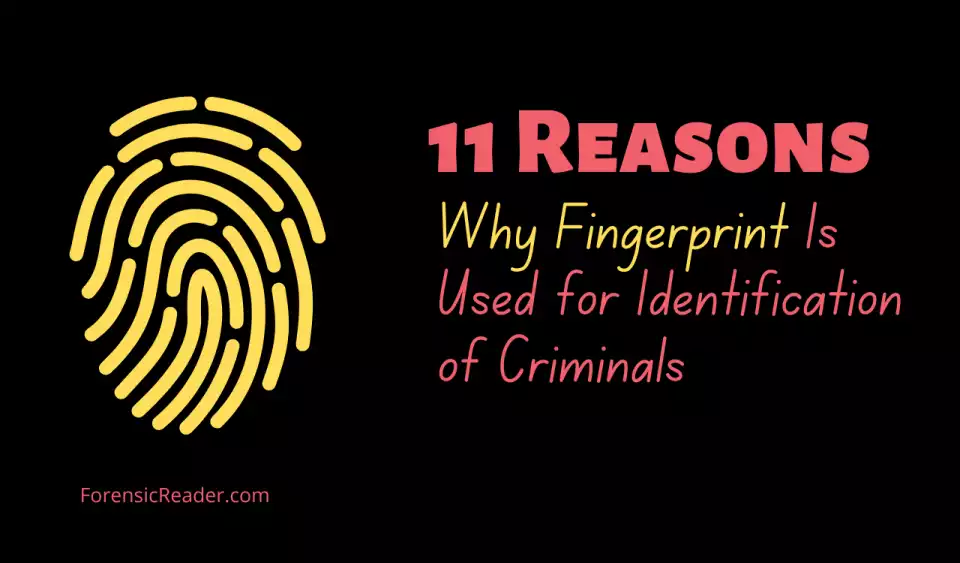 Reasons Why Fingerprints Used for Identification of Criminals