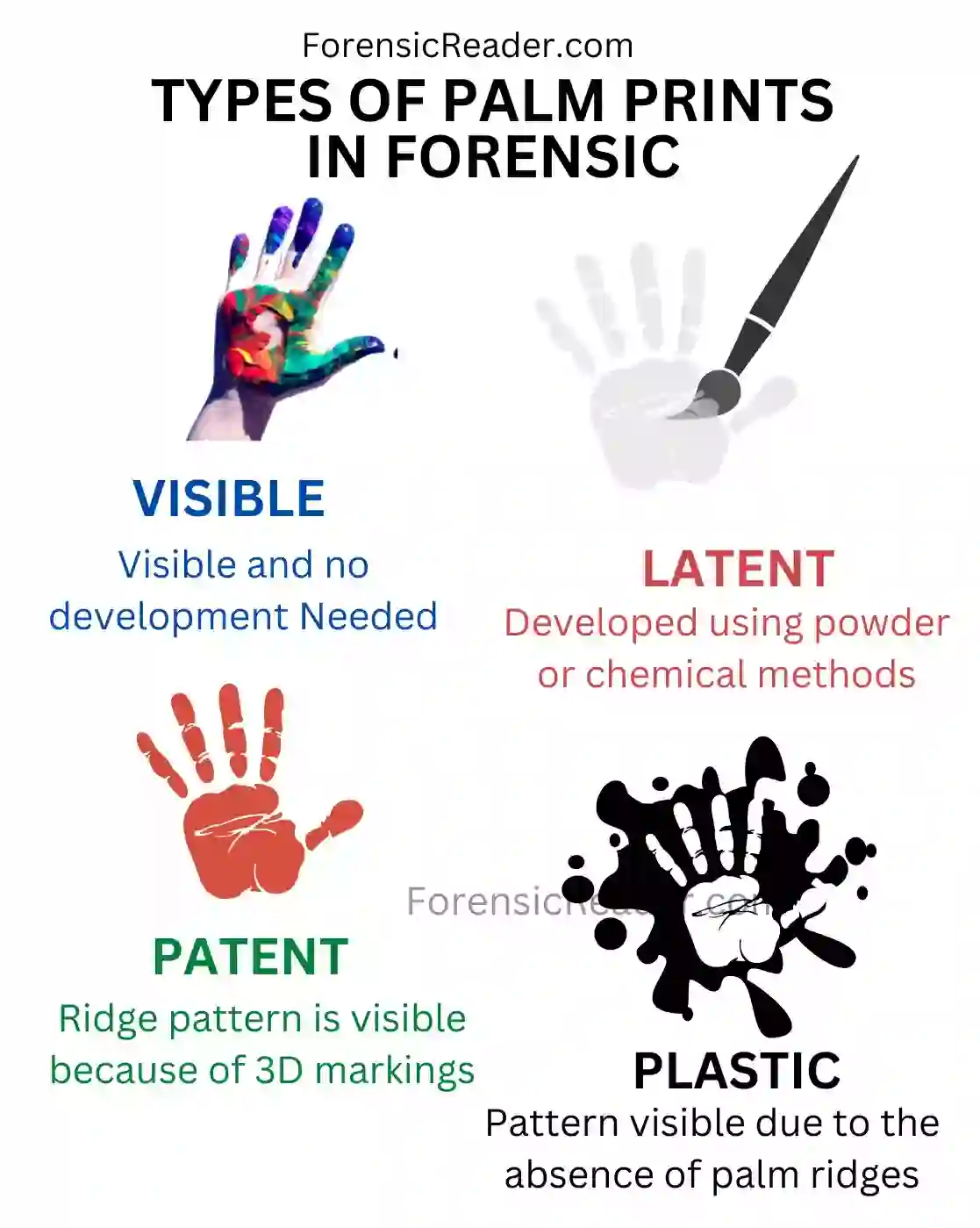 Types of Palm Prints in Forensic
