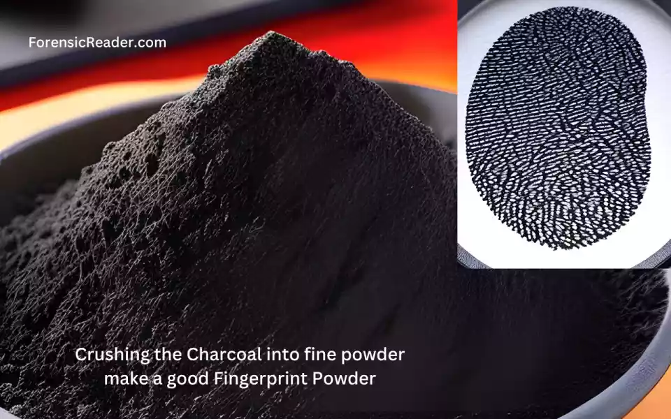 charocal or coal wood can be used as fingerprint powder at home