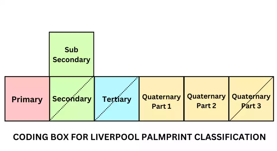 example of liverpool fingerpirnt classification system