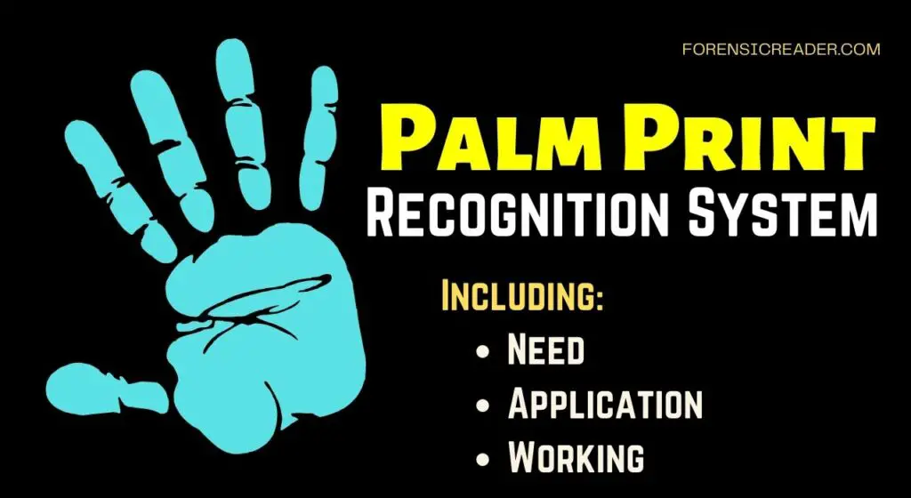 palm print recognition systems uses and need