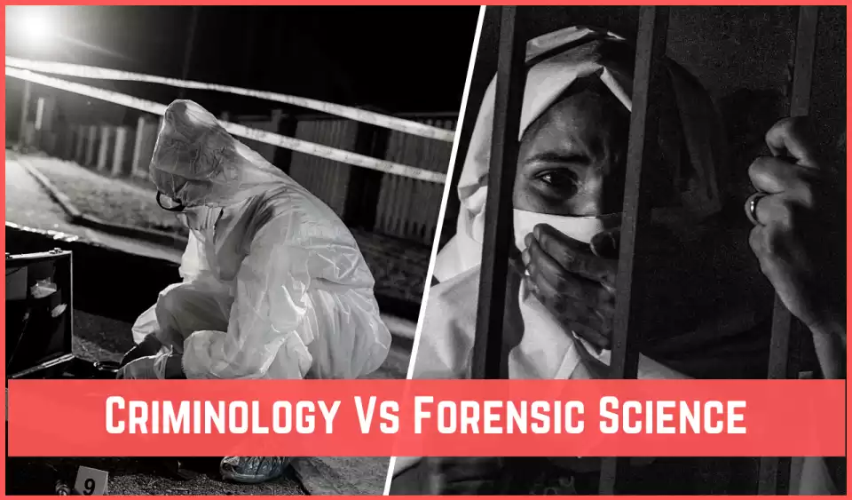 Forensic Science Vs Criminology 11 Major Differences