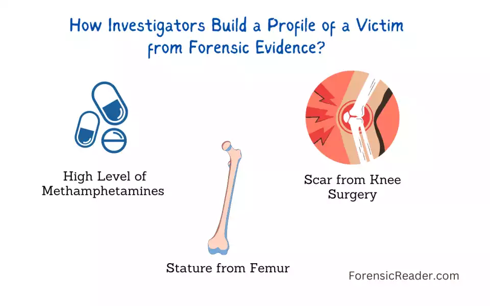 How Investigators Build a Profile of a Victim from Forensic Evidence