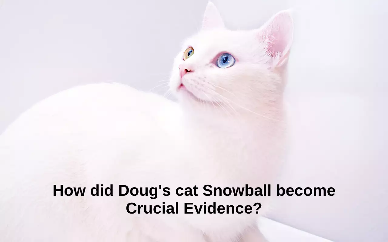 How did Doug's cat Snowball become Crucial Evidence