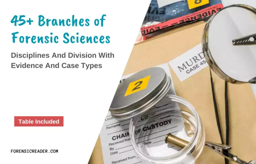 Branches of Forensic Science Disciplines and Division With Evidence and Case Types
