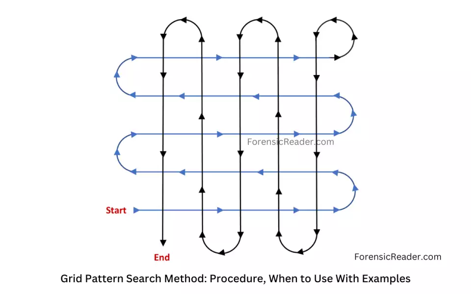 Grid Search Pattern Method Procedure, When to Use With ExamplesGrid Search Pattern Method Procedure, When to Use in crime scene with Examples