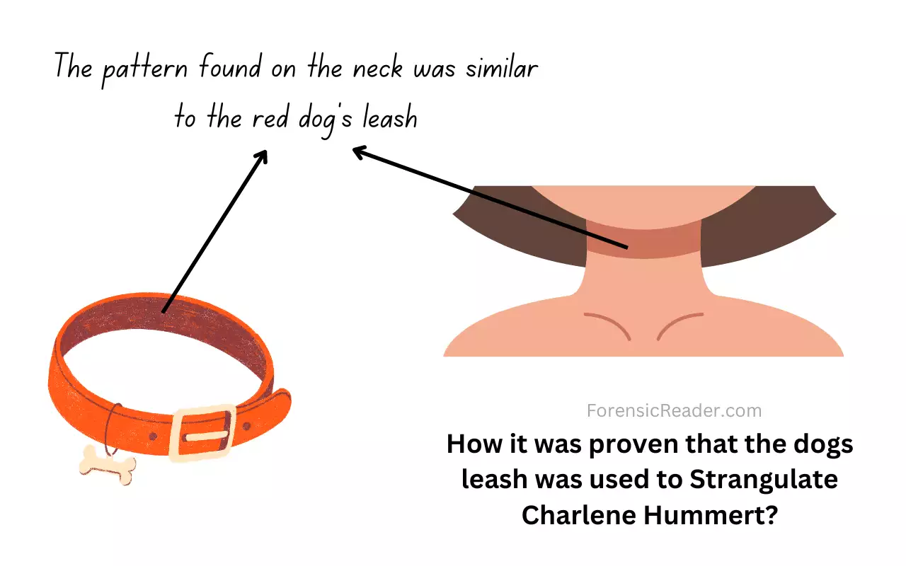 How it was proven that the dogs leash was used to Strangulate Charlene Hummert