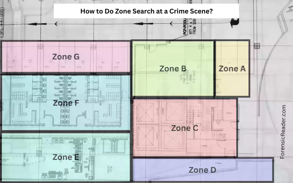 how to perform zone searches at crime scene with practical examples