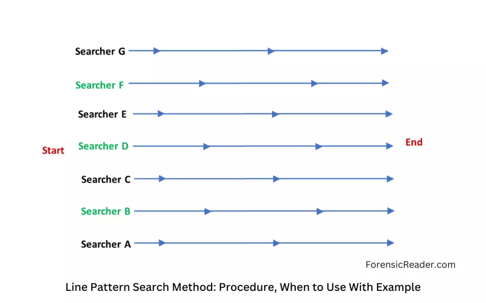 Line Pattern Search Method at crime scene and when to Use With Example