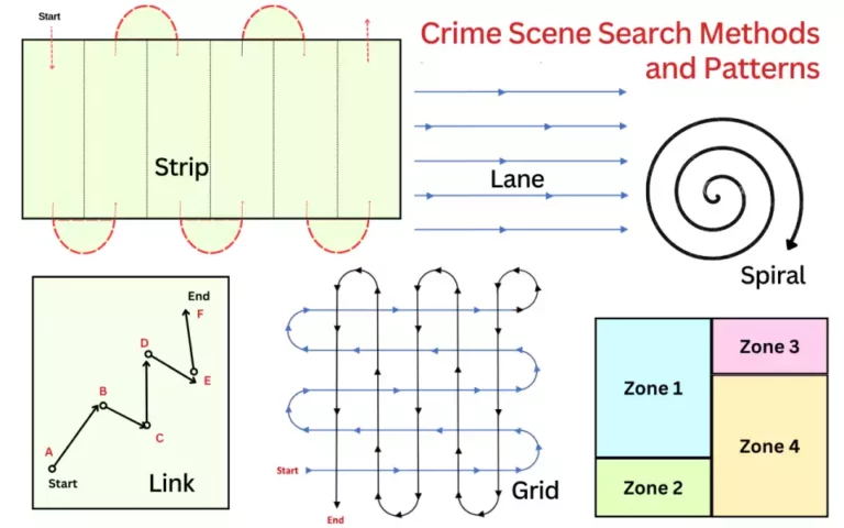 Crime Scene Search Methods and Patterns Types and When to Use With Examples
