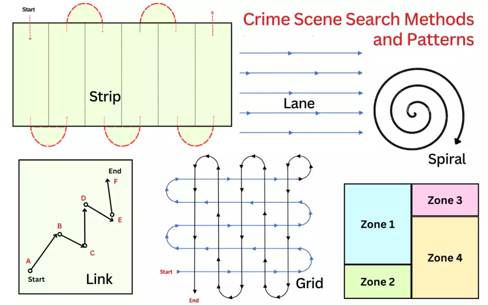 Crime Scene Search Methods and Patterns Types and When to Use With Examples