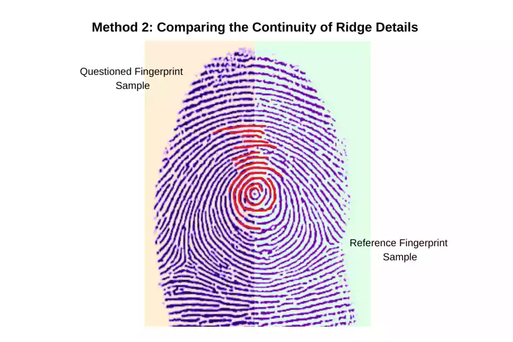 Method 2 Comparing the Continuity of Ridge Details