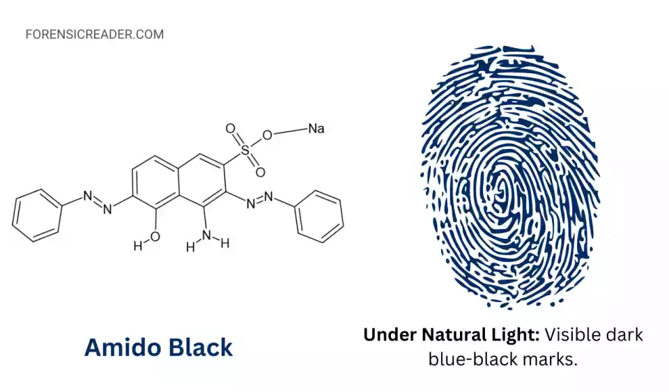 Observation and Result of amido black also called acid black 1