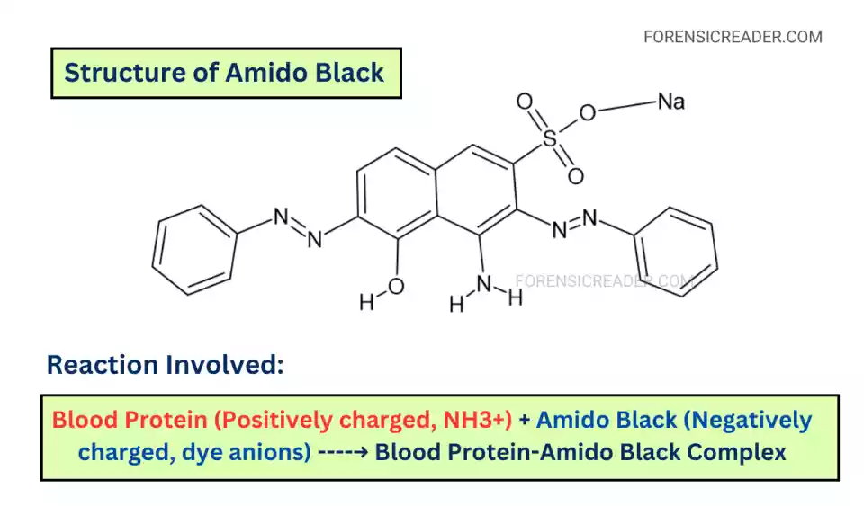 Amido Black - Methanol Base - Blood Fixative - 500ml