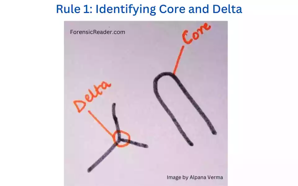 Rule 1 Choosing Core and Delta in ridge count of loops