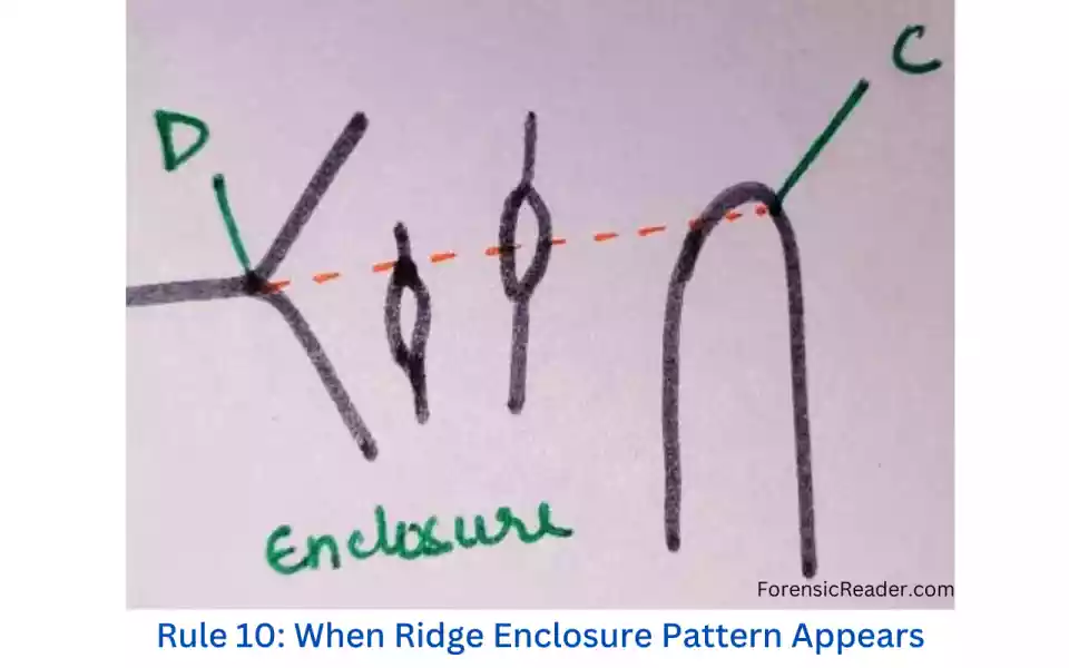 Rule 10 When Ridge Enclosure Pattern Appears when doing ridge counting