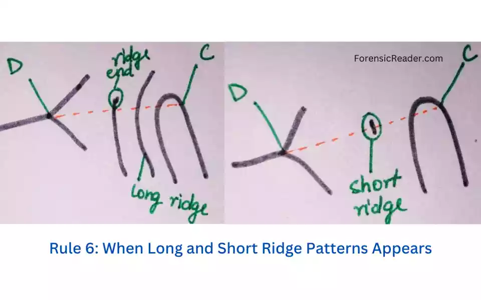 Rule 6 When Long and Short Ridges Appears