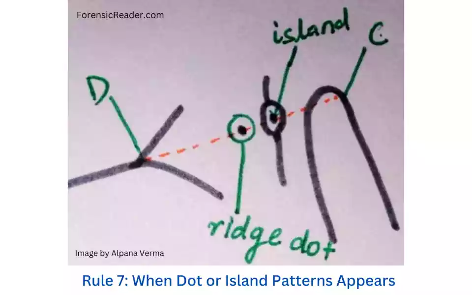Rule 7 When Dot or Island Patterns Appears in loops for ridge counting