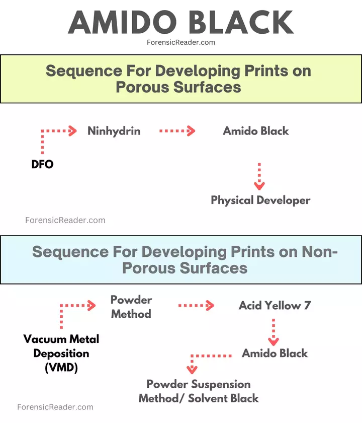 Sequence of Using Amido Black for Fingerprint Development