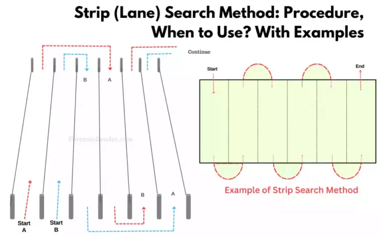 Strip or lanes Search pattern Method Procedure, When to Use With Examples