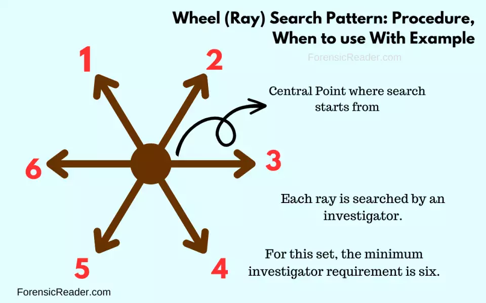 Wheel or Ray Search Method in types of searches