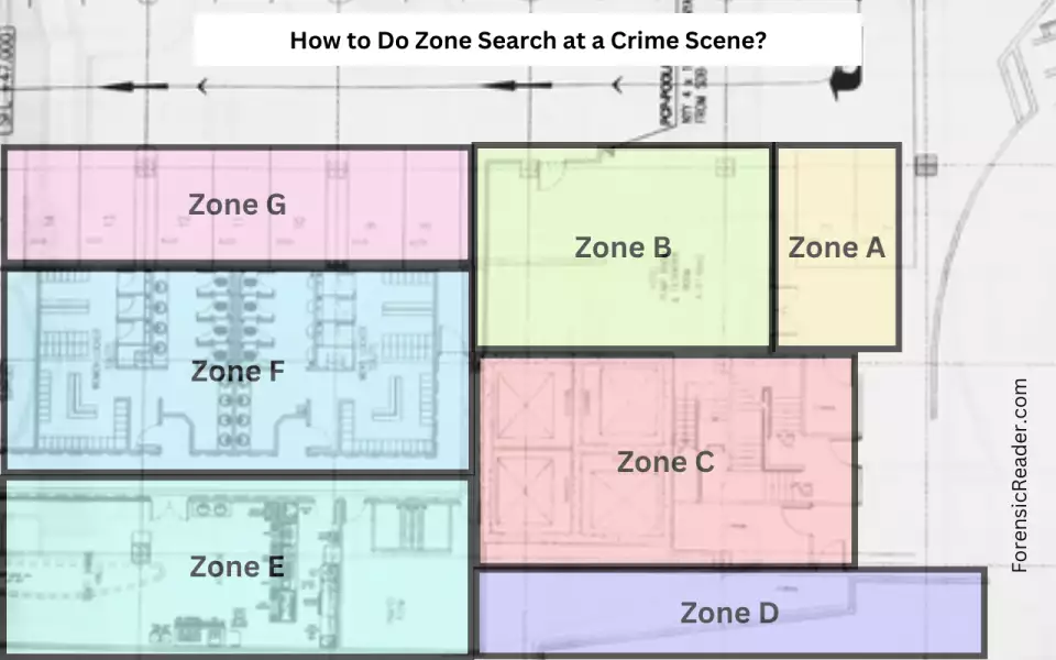 Zone Search Method and patterns in forensics types of crime scene searches
