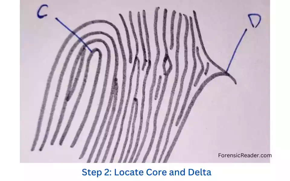 step 2 of procedure locate core and delta