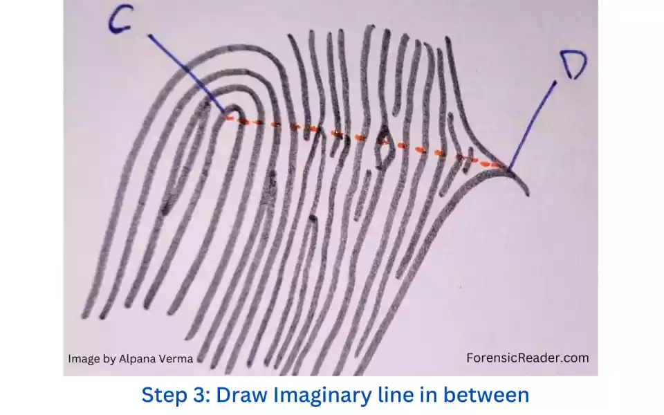 Step 3 Draw Imaginary line in between