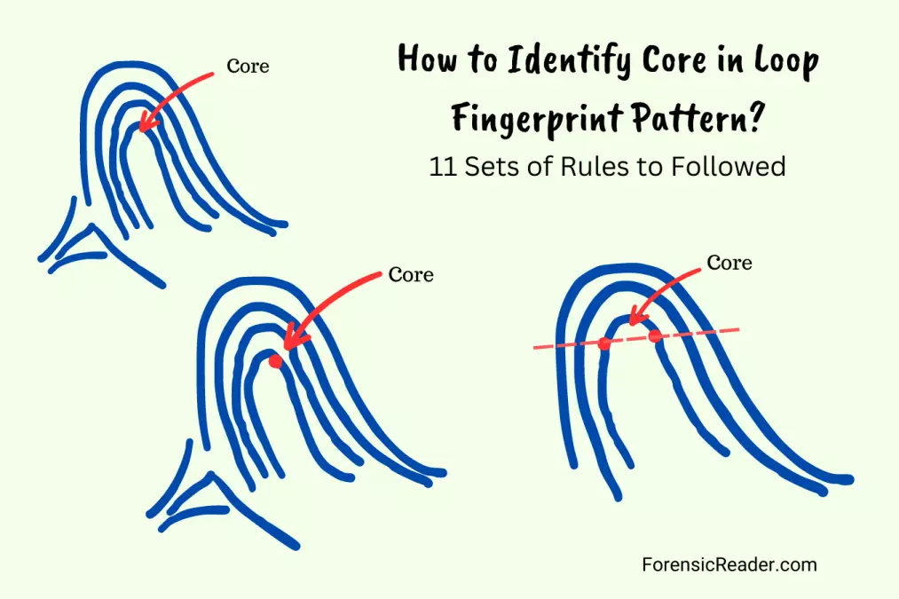 11 Rules for Choosing Core in Loop Fingerprint Patterns