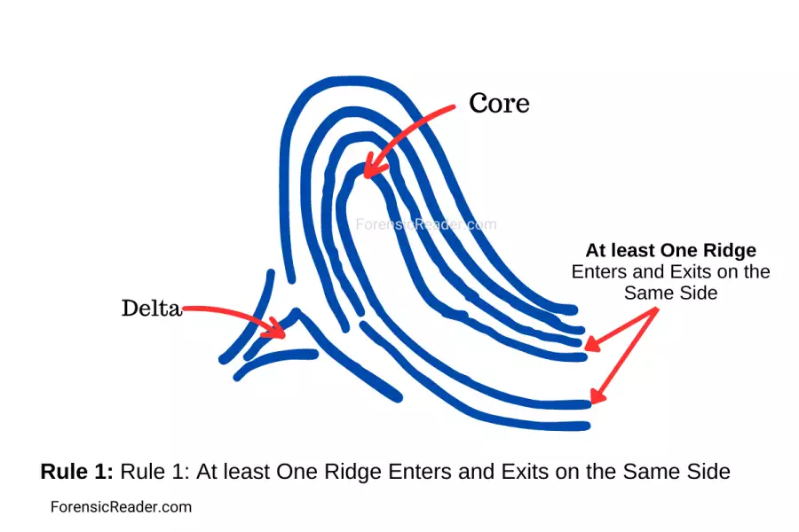 Rule 1 At least One Ridge Enters and Exits on the Same Side