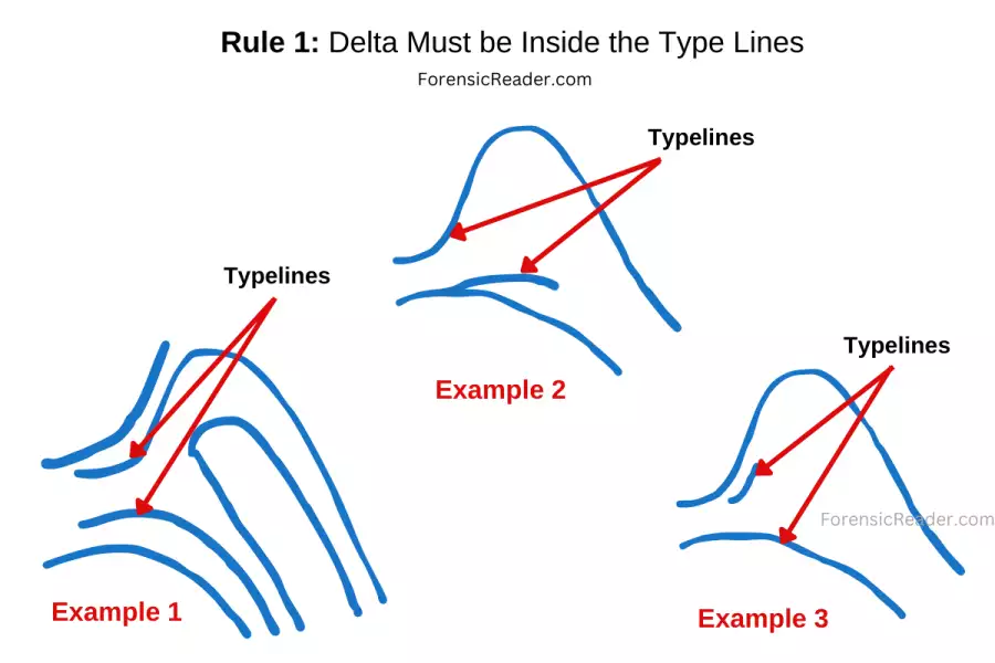 Rule 1 Delta Must be Inside the Typelines with three examples