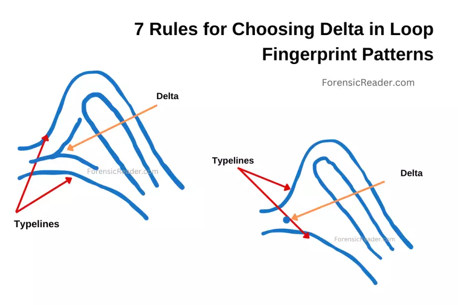 Rule 2 There Should Be One Delta and other associated rules