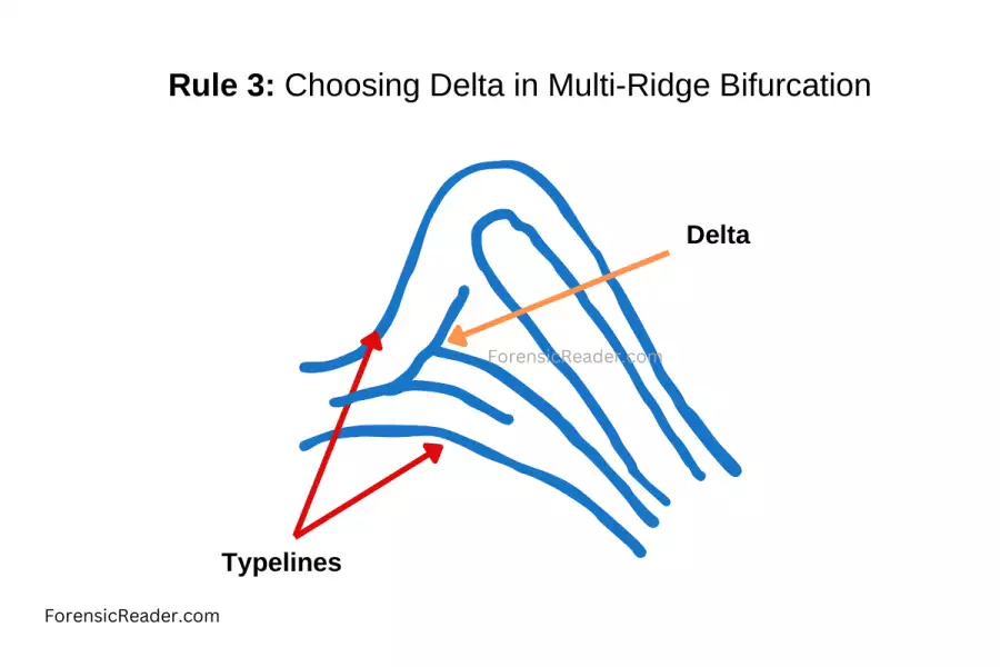 Rule 3 Choosing Delta in Multi-Ridge Bifurcation