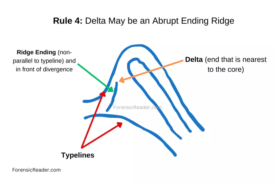 Rule 4 Delta May be an Abrupt Ending Ridge