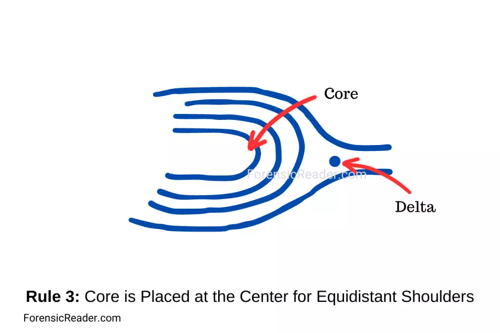 Rules 3 Core is Placed at the Center for Equidistant Shoulders