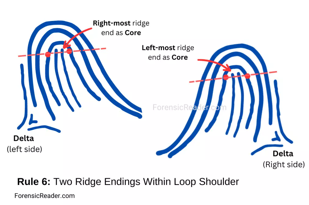 Rules 6 Two Ridge Endings Within Loop Shoulder