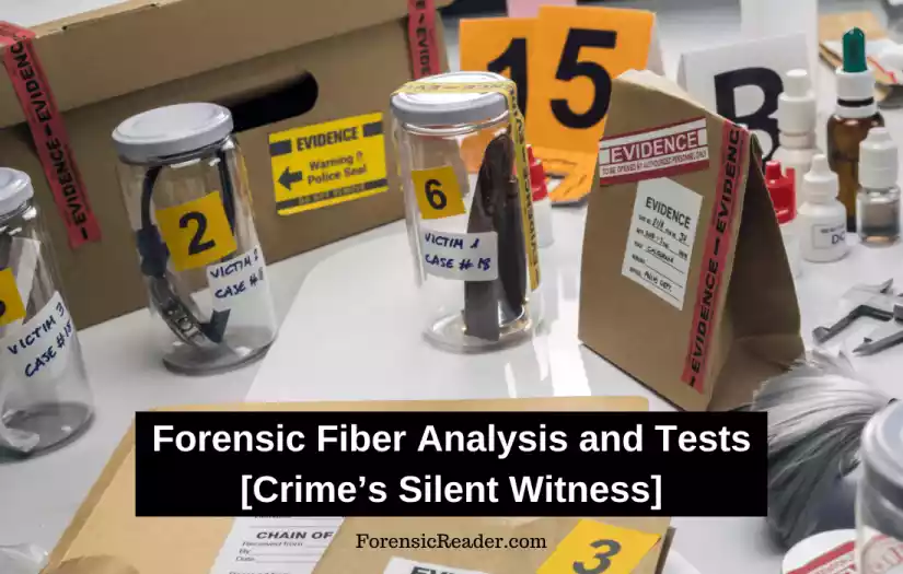 Forensic Fiber Analysis and Chemical Tests With Case Studies